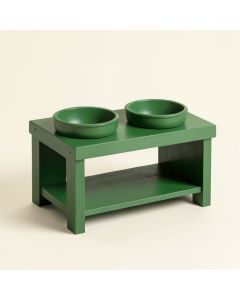 Birch Edge Pet Feeding Stand With Two Plain Empty Bowls - Green (synthetic illustration; no displayed measurements)