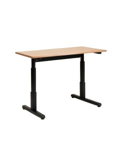 Height Adjustable Standing Gaming Desk