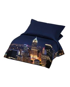 Usa Chicago City Skyline At Night With Tall Buildings Urban Modern Life