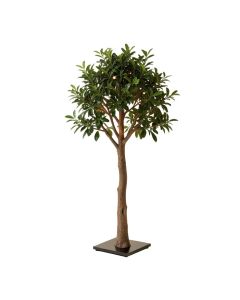 Aanya 63 '' Tree Floor Lamp