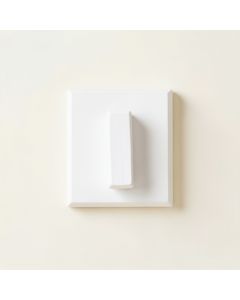 Shore Brook Wall-Mounted Robe Hook - White (synthetic illustration; no displayed measurements)
