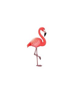 Rondon A Pink Flamingo Paper Print
