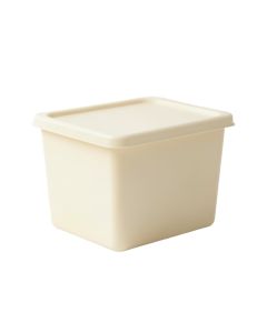 Dune Branch Closed Outdoor Storage Box - Cream (synthetic illustration; no displayed measurements)
