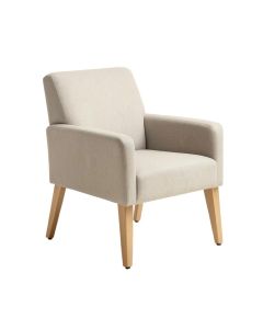 Esman Arm Chair In Clear (synthetic illustration; no displayed measurements)