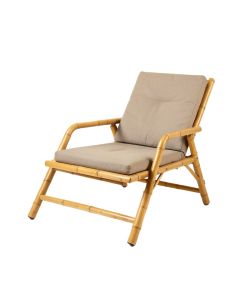 Riedel Recliner Patio Chair (synthetic illustration; no displayed measurements)
