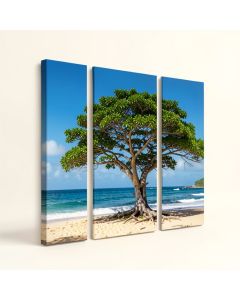 Green Tree On Beach In Kauai Hawaii - 3 Piece Photographic Print On Wrapped Canvas Set (synthetic illustration; no displayed measurements)