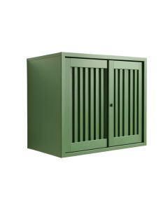 Birch Canyon Wall-Mounted Entry Cabinet - Green (synthetic illustration; no displayed measurements)