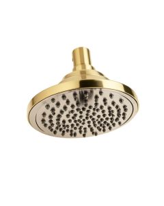 Vintage Anystream 2.0 Gpm Multi-Function Adjustable Brass Shower Head (synthetic illustration; no displayed measurements)
