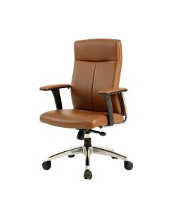 Seeneytown Ergonomic Office Chair