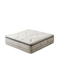 Wayfair Sleep 9 '' Plush Hybrid Mattress