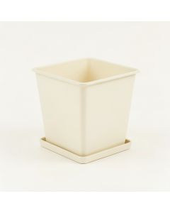 Ash Branch Empty Planter - Ivory (synthetic illustration; no displayed measurements)