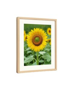 Sunflower Giclée Framed Photographic Print