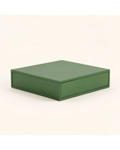 Reed Branch Desktop Monitor Riser - Green (synthetic illustration; no displayed measurements)
