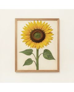 Sunflower Seed Vintage Advertisement (synthetic illustration; no displayed measurements)