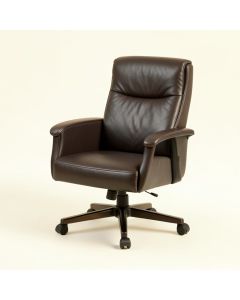 Damianna Executive Chair (synthetic illustration; no displayed measurements)