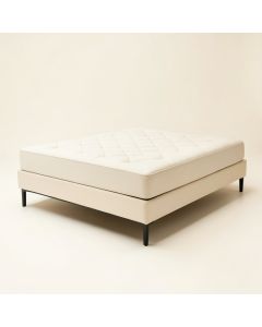 Leonard Tufted Upholstered Platform Bed (synthetic illustration; no displayed measurements)