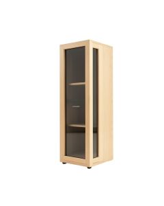 Glass Panel Door Audio Cabinet (synthetic illustration; no displayed measurements)