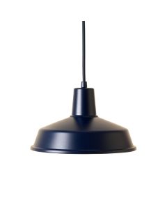 Slate Branch Pendant Light Suspended From One Plain Cable - Navy (synthetic illustration; no displayed measurements)