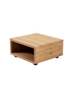 Lisbeth Coffee Table With Storage (synthetic illustration; no displayed measurements)