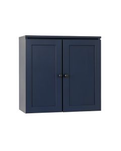 Hill Dell Wall-Mounted Entry Cabinet - Navy (synthetic illustration; no displayed measurements)