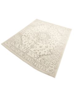 Aiken Oriental Ivory/Sliver Area Rug (synthetic illustration; no displayed measurements)