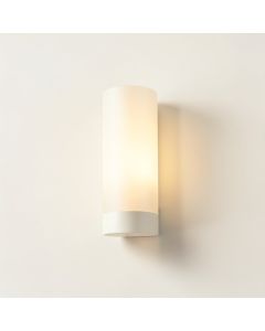 Darius 1-Light Wall Sconce (synthetic illustration; no displayed measurements)
