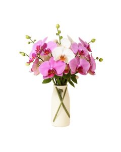 Dancing Lady Silk Orchid Floral Arrangement In Vase