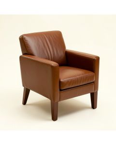 Zebra Arm Chair (synthetic illustration; no displayed measurements)