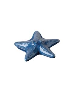 Star Fish Porcelain China Chips And Dip Platter