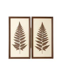 Large Vintage Fern Illustrations Framed Botanical Prints Wall Art | Set Of 2 , 19 ” X 25.5 ” Each