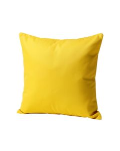 Witzel Dinosaur Expert Throw Pillow