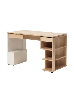 Home Office 54 '' Large Computer Desk With 10 Storage Shelves (synthetic illustration; no displayed measurements)