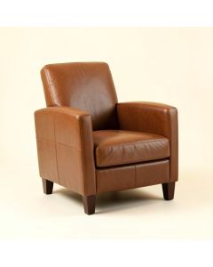 Ahupendra Faux Leather Arm Chair (synthetic illustration; no displayed measurements)