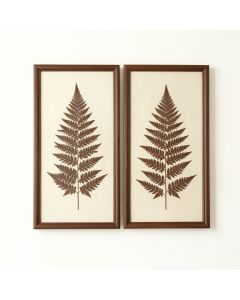 Large Vintage Fern Illustrations Framed Botanical Prints Wall Art | Set Of 2 , 19 ” X 25.5 ” Each (synthetic illustration; no displayed measurements)
