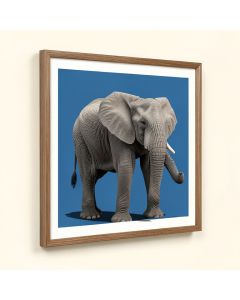 Elephant By Rocío Díaz Couretot Framed Graphic Art (synthetic illustration; no displayed measurements)