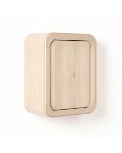 Elm Bend Wall-Mounted Laundry Cabinet - Beige (synthetic illustration; no displayed measurements)