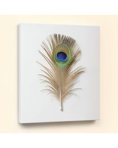 Golden Blue Peacock Feather Ii - Print On Canvas (synthetic illustration; no displayed measurements)