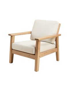 21.5 '' Wide Armchair