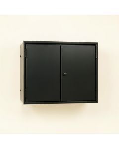 Pine Dale Wall-Mounted Entry Cabinet - Black (synthetic illustration; no displayed measurements)