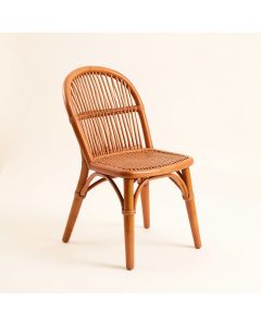 Summit Bend Dining Chair - Terracotta (synthetic illustration; no displayed measurements)