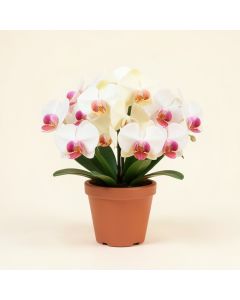 Artificial Orchids Floral Arrangements In Pot (synthetic illustration; no displayed measurements)