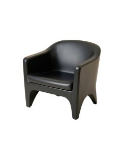 41 '' Wide Armchair (synthetic illustration; no displayed measurements)