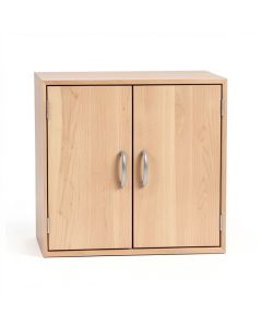 Desandre 2 Door Storage Cabinet (synthetic illustration; no displayed measurements)