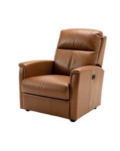 Annarae 33.9 '' Wide Faux Leather Power Lift Assist Standard Recliner With Massager (synthetic illustration; no displayed measurements)