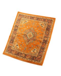 Hartig Oriental Orange Area Rug