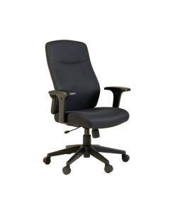 Friant Ergonomic Task Chair