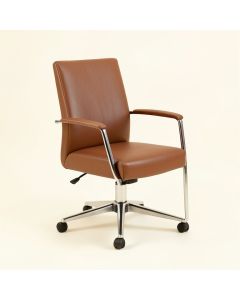 Arianny Simple Fashion Casual Beauty Salon Conference Chair (synthetic illustration; no displayed measurements)