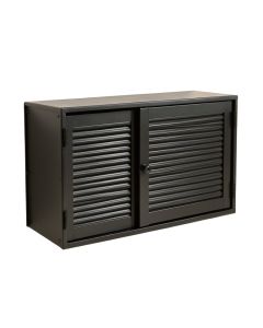Briar Arc Wall-Mounted Entry Cabinet (synthetic illustration; no displayed measurements)