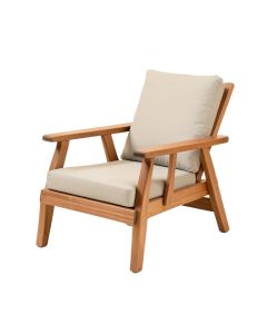 Patio Chair With Cushions (synthetic illustration; no displayed measurements)