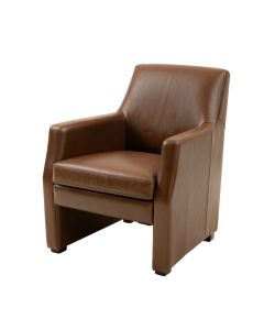 Rohando Leather Upholstered Dining Chair (synthetic illustration; no displayed measurements)
